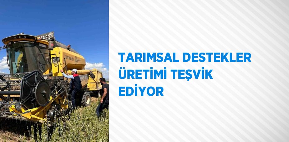 TARIMSAL DESTEKLER ÜRETİMİ TEŞVİK EDİYOR