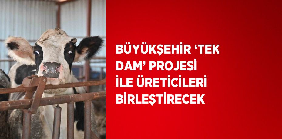 BÜYÜKŞEHİR ‘TEK DAM’ PROJESİ İLE ÜRETİCİLERİ BİRLEŞTİRECEK