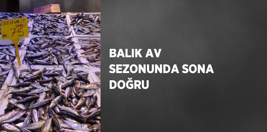 BALIK AV SEZONUNDA SONA DOĞRU