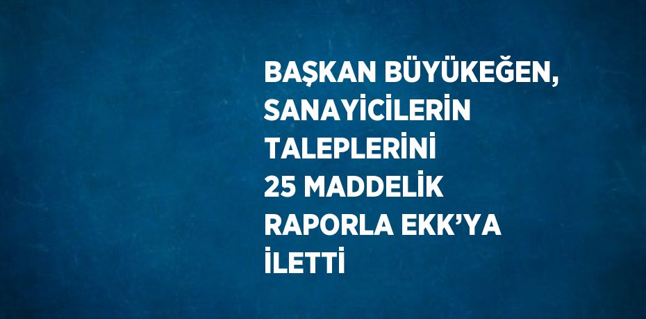 BAŞKAN BÜYÜKEĞEN, SANAYİCİLERİN TALEPLERİNİ 25 MADDELİK RAPORLA EKK’YA İLETTİ