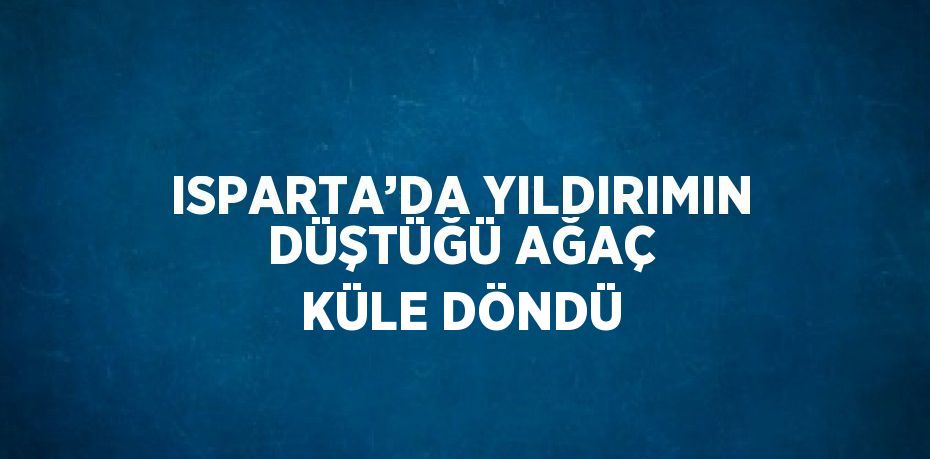 ISPARTA’DA YILDIRIMIN DÜŞTÜĞÜ AĞAÇ KÜLE DÖNDÜ