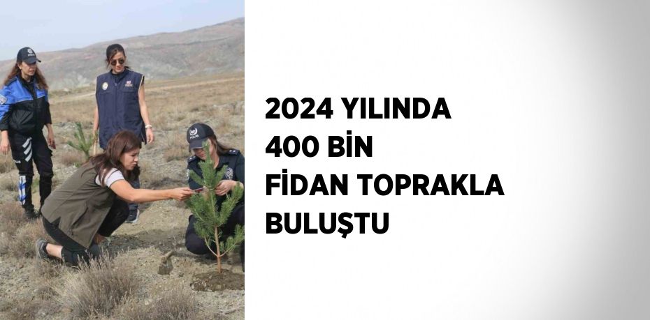 2024 YILINDA 400 BİN FİDAN TOPRAKLA BULUŞTU