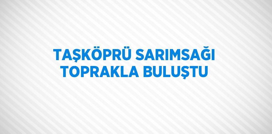 TAŞKÖPRÜ SARIMSAĞI TOPRAKLA BULUŞTU