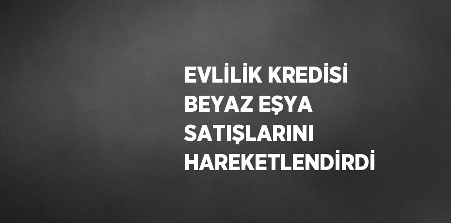 EVLİLİK KREDİSİ BEYAZ EŞYA SATIŞLARINI HAREKETLENDİRDİ