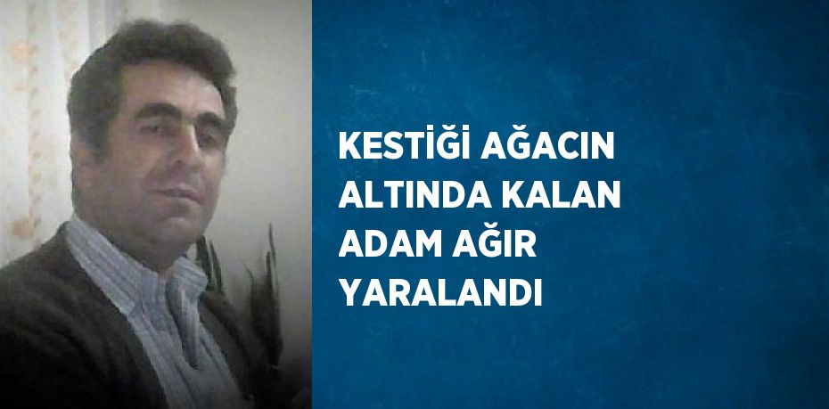 KESTİĞİ AĞACIN ALTINDA KALAN ADAM AĞIR YARALANDI