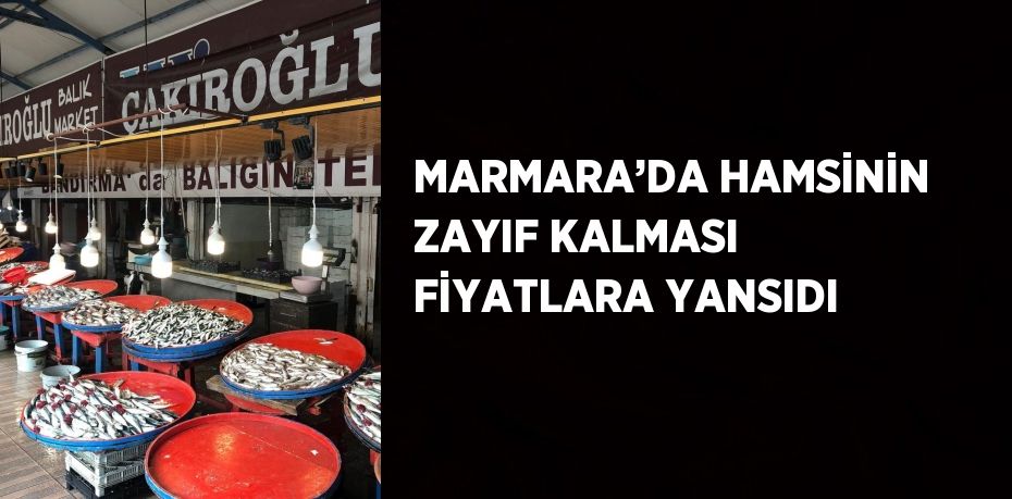 MARMARA’DA HAMSİNİN ZAYIF KALMASI FİYATLARA YANSIDI