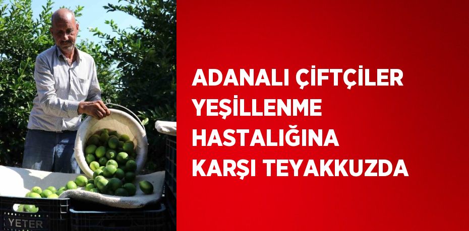 ADANALI ÇİFTÇİLER YEŞİLLENME HASTALIĞINA KARŞI TEYAKKUZDA