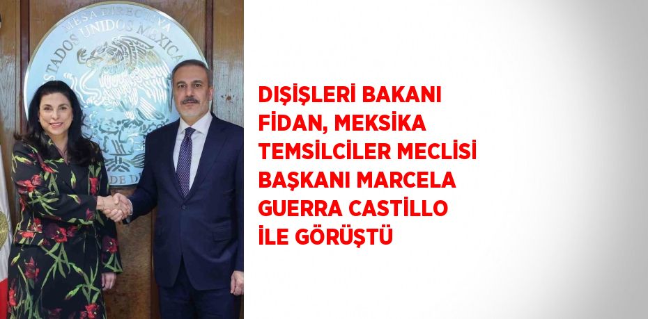 DIŞİŞLERİ BAKANI FİDAN, MEKSİKA TEMSİLCİLER MECLİSİ BAŞKANI MARCELA GUERRA CASTİLLO İLE GÖRÜŞTÜ