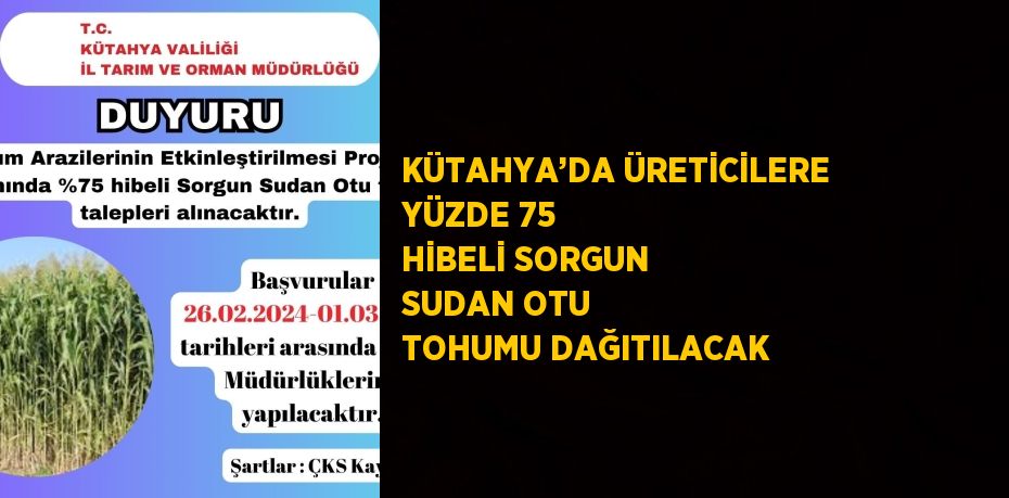 KÜTAHYA’DA ÜRETİCİLERE YÜZDE 75 HİBELİ SORGUN SUDAN OTU TOHUMU DAĞITILACAK