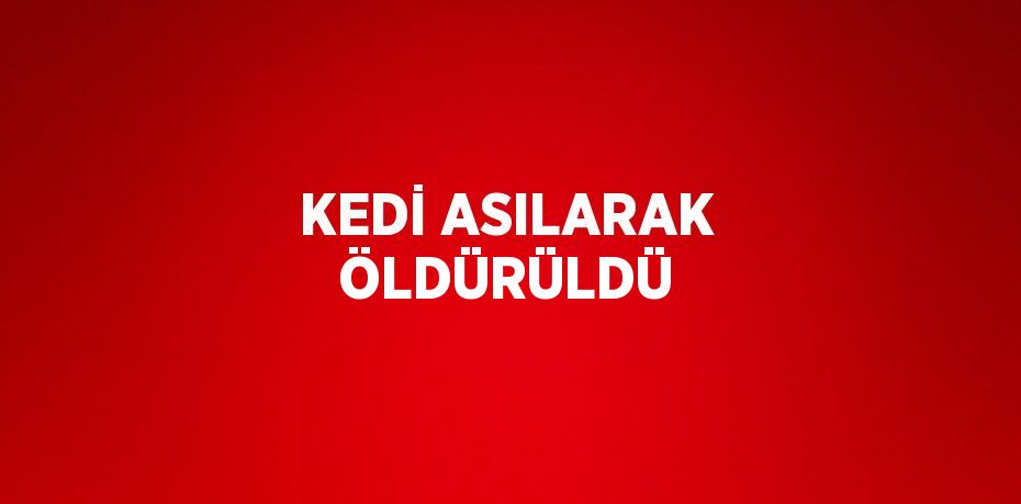 KEDİ ASILARAK ÖLDÜRÜLDÜ