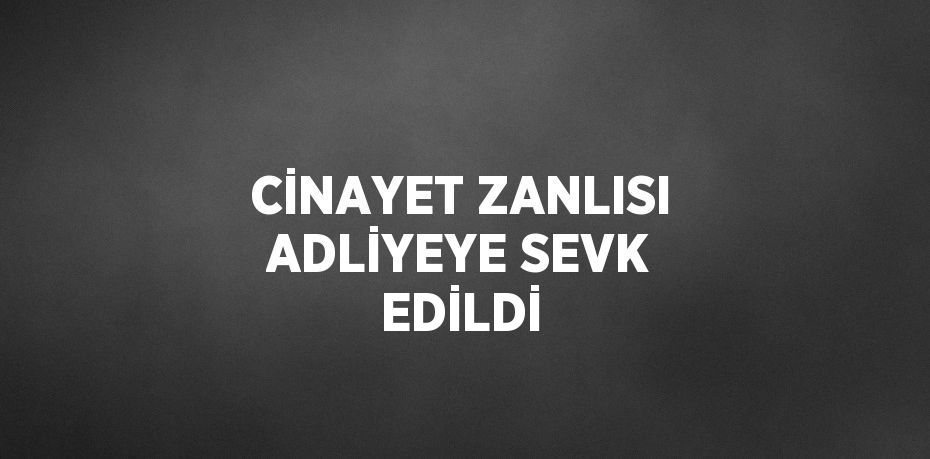 CİNAYET ZANLISI ADLİYEYE SEVK EDİLDİ