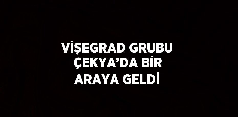 VİŞEGRAD GRUBU ÇEKYA’DA BİR ARAYA GELDİ