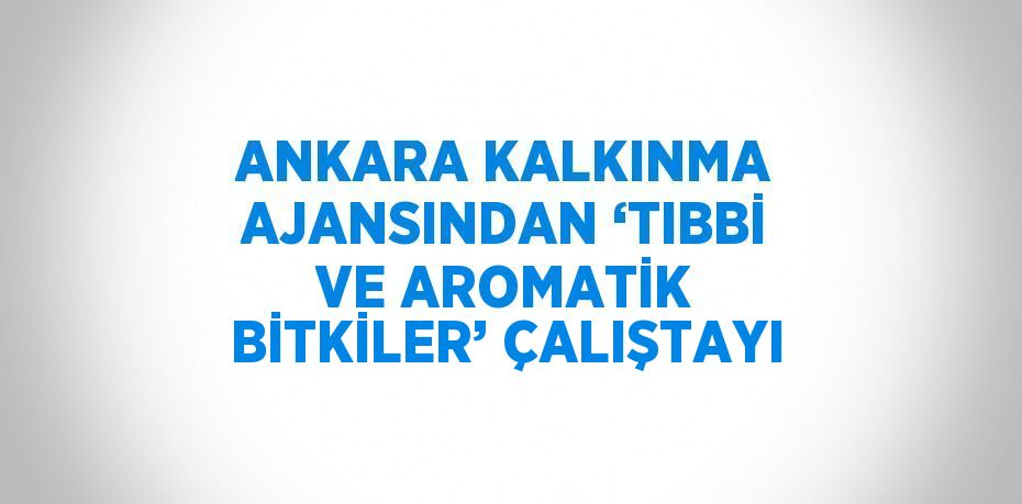 ANKARA KALKINMA AJANSINDAN ‘TIBBİ VE AROMATİK BİTKİLER’ ÇALIŞTAYI