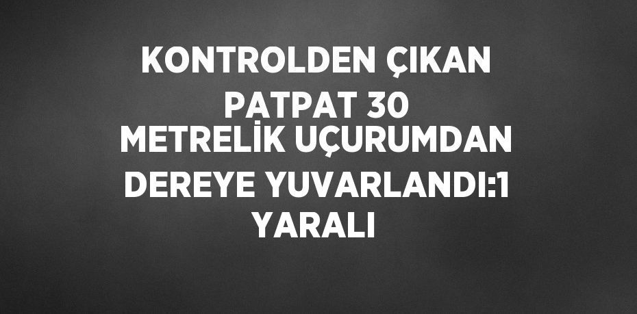 KONTROLDEN ÇIKAN PATPAT 30 METRELİK UÇURUMDAN DEREYE YUVARLANDI:1 YARALI