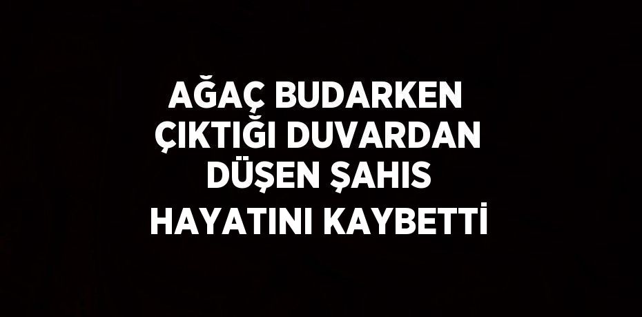 AĞAÇ BUDARKEN ÇIKTIĞI DUVARDAN DÜŞEN ŞAHIS HAYATINI KAYBETTİ