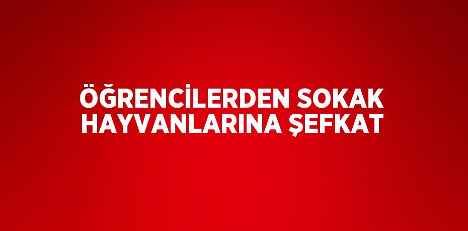 ÖĞRENCİLERDEN SOKAK HAYVANLARINA ŞEFKAT