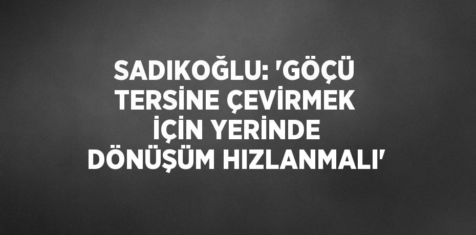 SADIKOĞLU: 'GÖÇÜ TERSİNE ÇEVİRMEK İÇİN YERİNDE DÖNÜŞÜM HIZLANMALI'