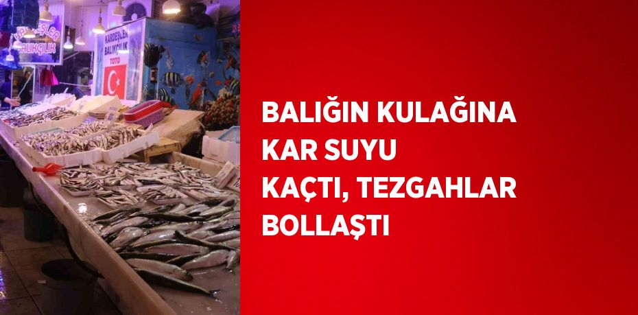 BALIĞIN KULAĞINA KAR SUYU KAÇTI, TEZGAHLAR BOLLAŞTI