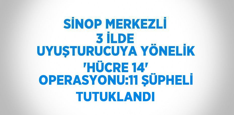 SİNOP MERKEZLİ 3 İLDE UYUŞTURUCUYA YÖNELİK 'HÜCRE 14' OPERASYONU:11 ŞÜPHELİ TUTUKLANDI