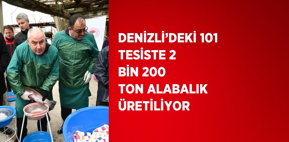 DENİZLİ’DEKİ 101 TESİSTE 2 BİN 200 TON ALABALIK ÜRETİLİYOR