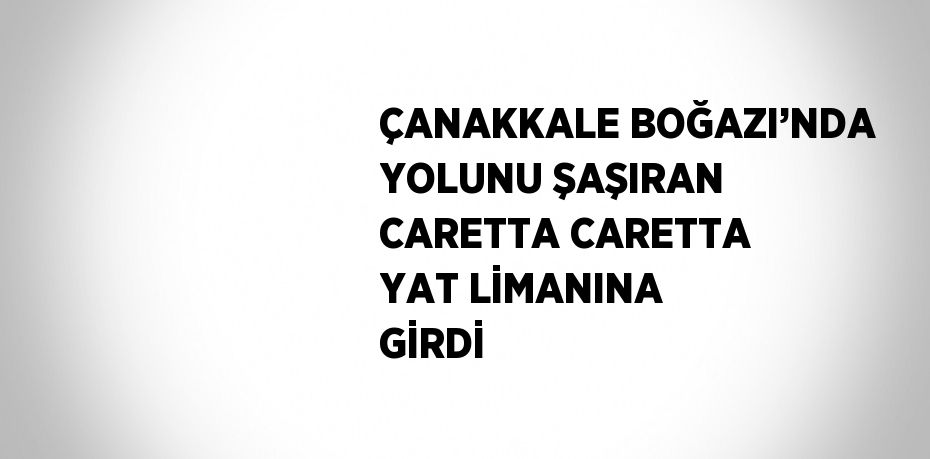 ÇANAKKALE BOĞAZI’NDA YOLUNU ŞAŞIRAN CARETTA CARETTA YAT LİMANINA GİRDİ