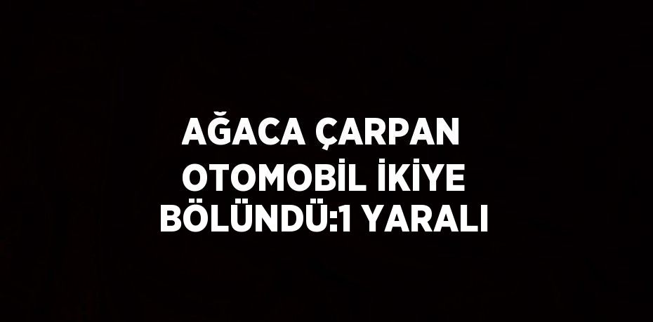 AĞACA ÇARPAN OTOMOBİL İKİYE BÖLÜNDÜ:1 YARALI