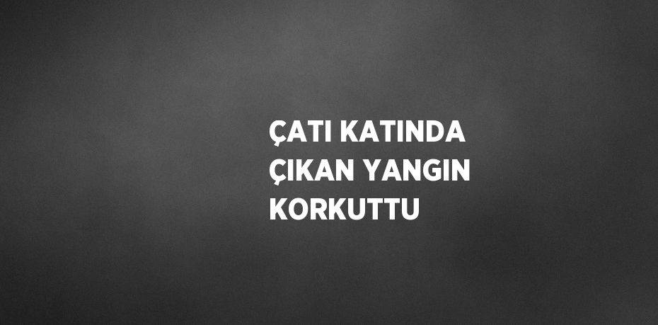 ÇATI KATINDA ÇIKAN YANGIN KORKUTTU