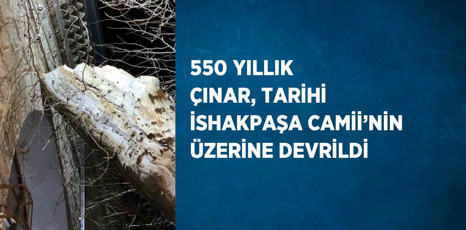 550 YILLIK ÇINAR, TARİHİ İSHAKPAŞA CAMİİ’NİN ÜZERİNE DEVRİLDİ