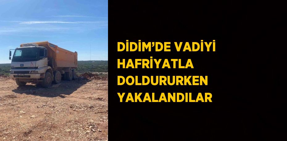DİDİM’DE VADİYİ HAFRİYATLA DOLDURURKEN YAKALANDILAR