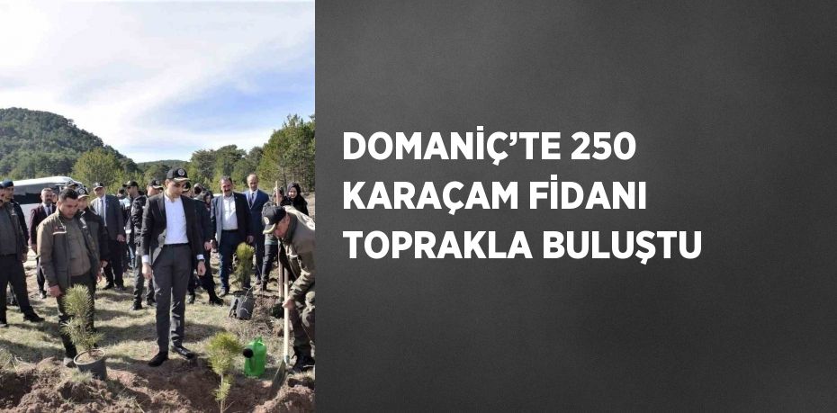 DOMANİÇ’TE 250 KARAÇAM FİDANI TOPRAKLA BULUŞTU