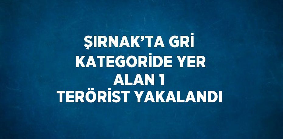 ŞIRNAK’TA GRİ KATEGORİDE YER ALAN 1 TERÖRİST YAKALANDI