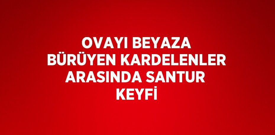 OVAYI BEYAZA BÜRÜYEN KARDELENLER ARASINDA SANTUR KEYFİ