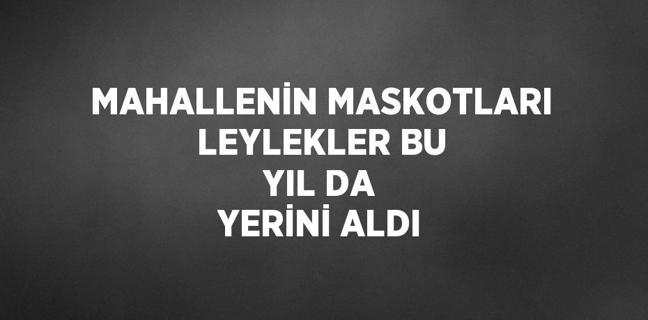 MAHALLENİN MASKOTLARI LEYLEKLER BU YIL DA YERİNİ ALDI