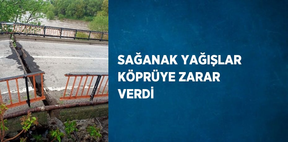 SAĞANAK YAĞIŞLAR KÖPRÜYE ZARAR VERDİ