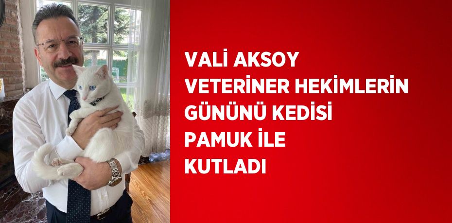 VALİ AKSOY VETERİNER HEKİMLERİN GÜNÜNÜ KEDİSİ PAMUK İLE KUTLADI