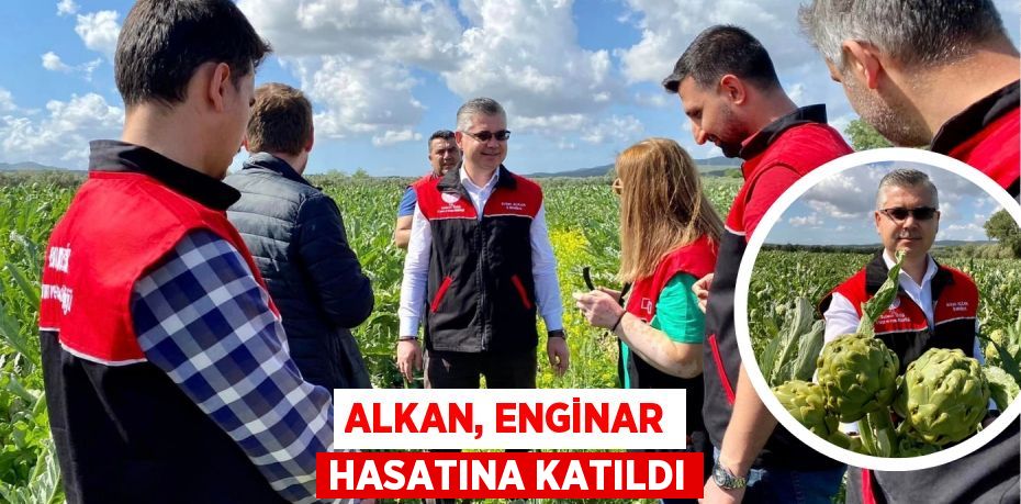 ALKAN, ENGİNAR HASATINA KATILDI