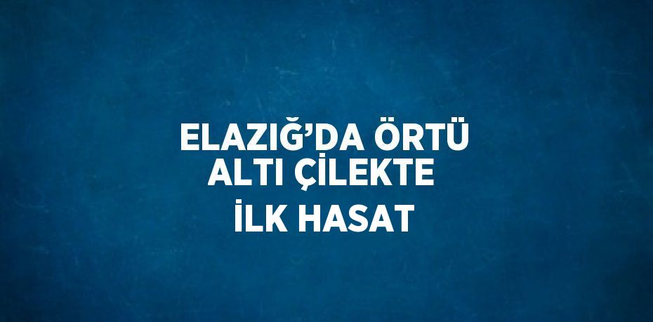 ELAZIĞ’DA ÖRTÜ ALTI ÇİLEKTE İLK HASAT