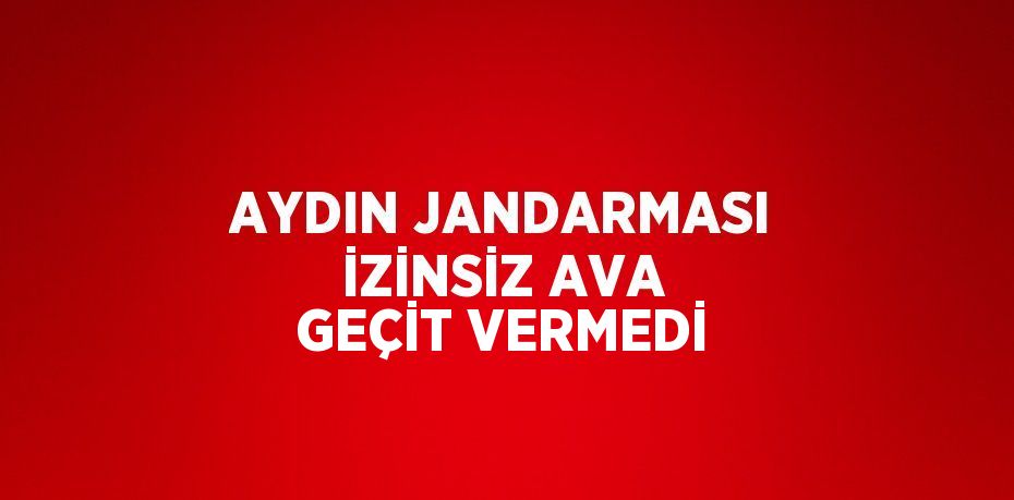 AYDIN JANDARMASI İZİNSİZ AVA GEÇİT VERMEDİ