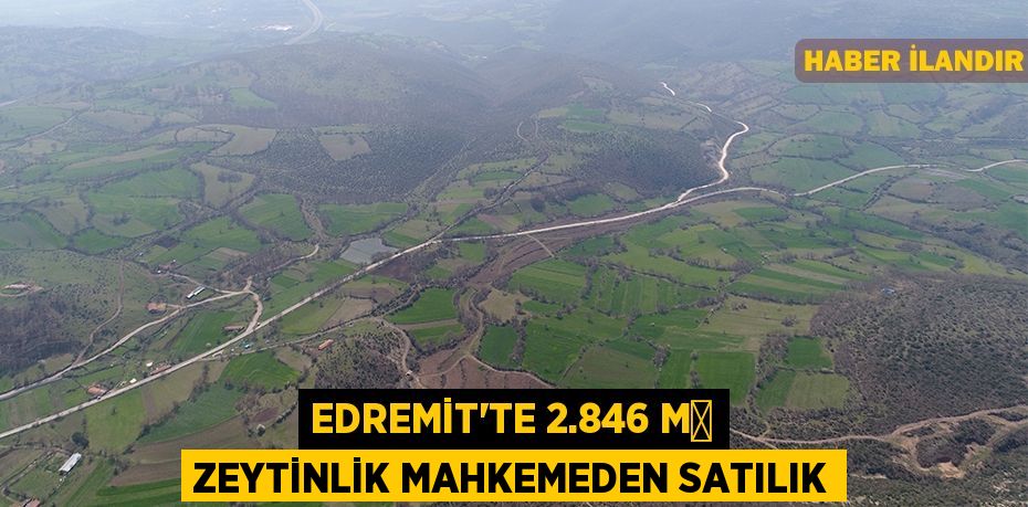 Edremit'te 2.846 m² zeytinlik mahkemeden satılık