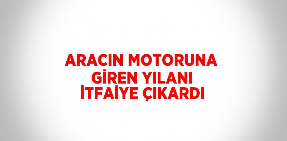 ARACIN MOTORUNA GİREN YILANI İTFAİYE ÇIKARDI