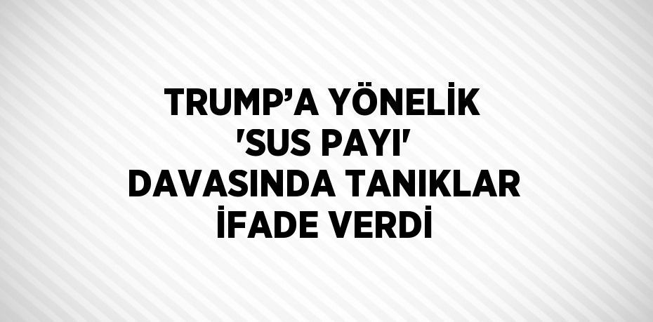 TRUMP’A YÖNELİK 'SUS PAYI' DAVASINDA TANIKLAR İFADE VERDİ