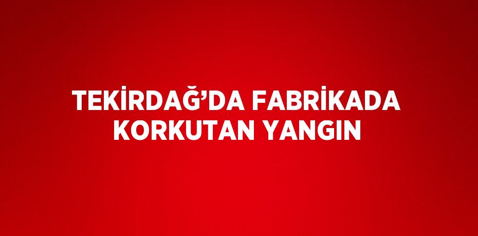 TEKİRDAĞ’DA FABRİKADA KORKUTAN YANGIN