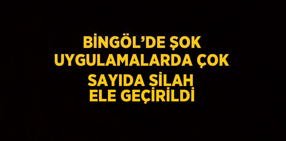 BİNGÖL’DE ŞOK UYGULAMALARDA ÇOK SAYIDA SİLAH ELE GEÇİRİLDİ