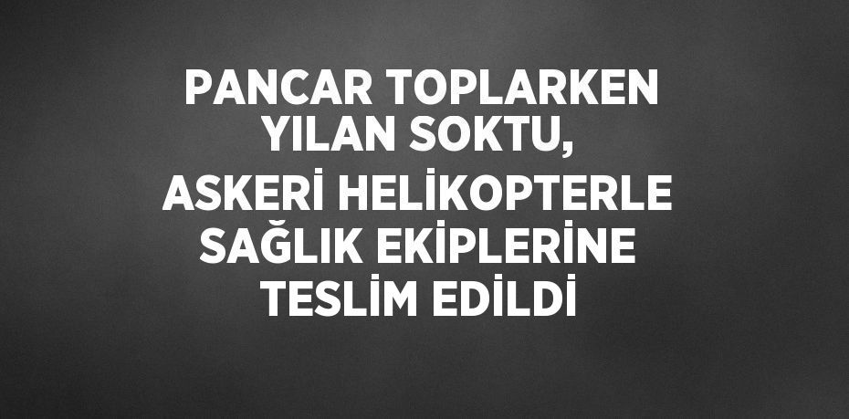 PANCAR TOPLARKEN YILAN SOKTU, ASKERİ HELİKOPTERLE SAĞLIK EKİPLERİNE TESLİM EDİLDİ