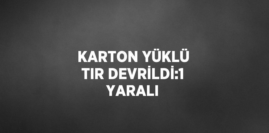 KARTON YÜKLÜ TIR DEVRİLDİ:1 YARALI