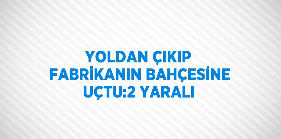 YOLDAN ÇIKIP FABRİKANIN BAHÇESİNE UÇTU:2 YARALI