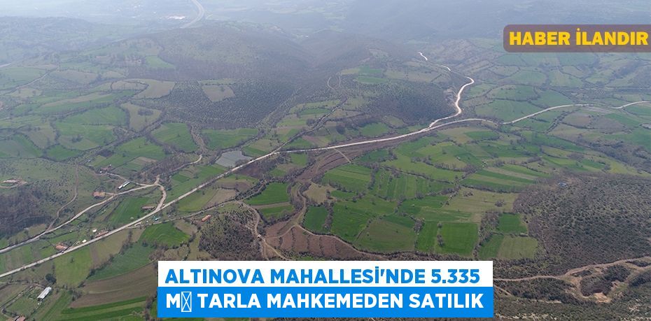 Altınova Mahallesi'nde 5.335 m² tarla mahkemeden satılık