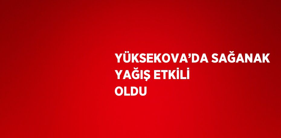 YÜKSEKOVA’DA SAĞANAK YAĞIŞ ETKİLİ OLDU