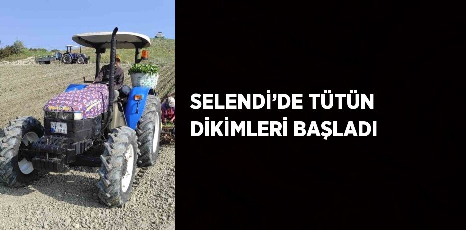 SELENDİ’DE TÜTÜN DİKİMLERİ BAŞLADI