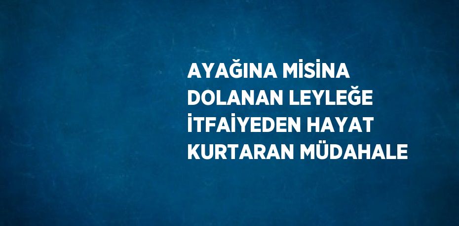 AYAĞINA MİSİNA DOLANAN LEYLEĞE İTFAİYEDEN HAYAT KURTARAN MÜDAHALE